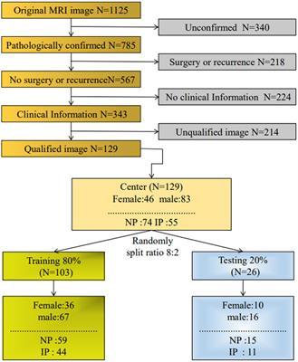A new biomarker combining multimodal MRI radiomics and clinical indicators for differentiating inverted papilloma from nasal polyp invaded the olfactory nerve possibly